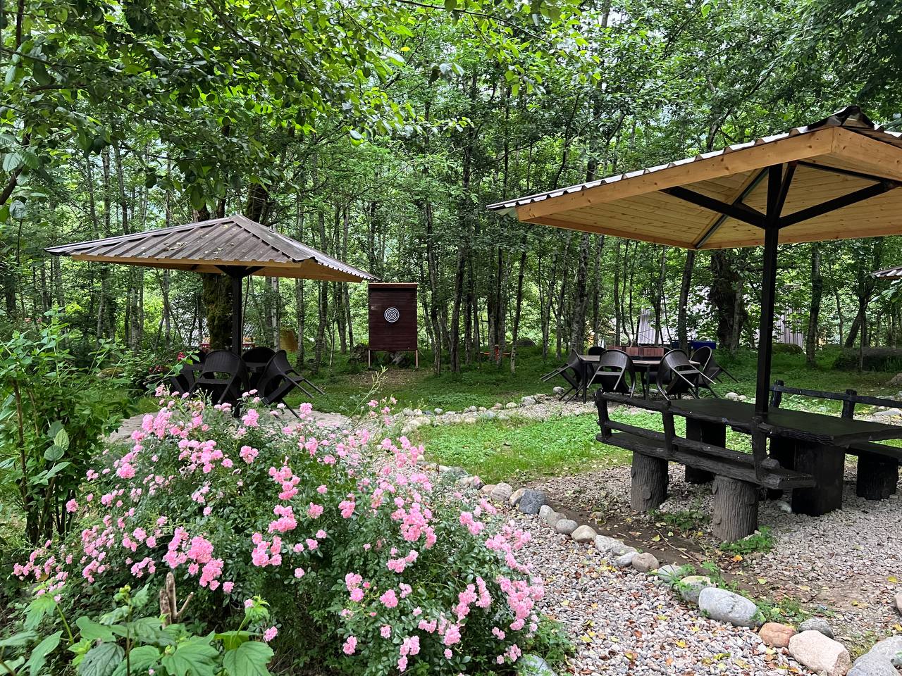 IMG_20240611_141018_354