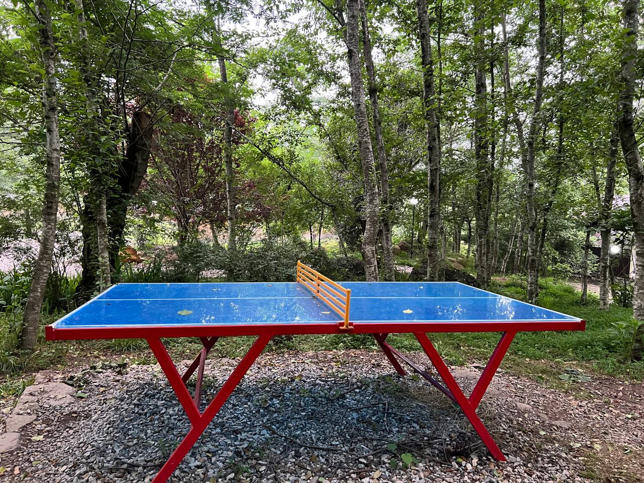 IMG_20240611_141018_435