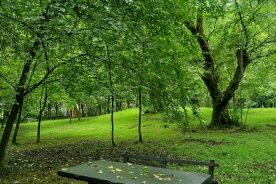 اکوکمپ 3000 منتظر شماست