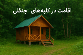 بهترین فعالیت‌ها و تفریحات در جنگل‌های سه هزار تنکابن با مجموعه اکوکمپ 3000